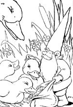 coloring page David the Gnome